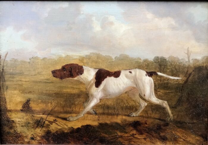 “Hunting Dog on Point”