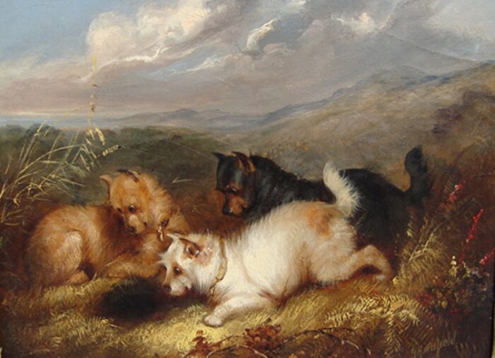 Armfield, George