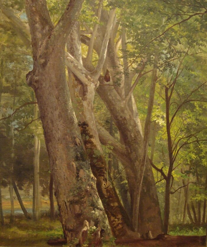 Beard, William Holbrook