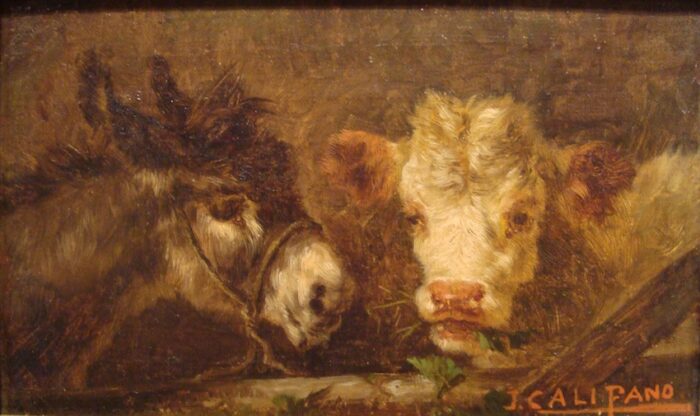 Califano, John