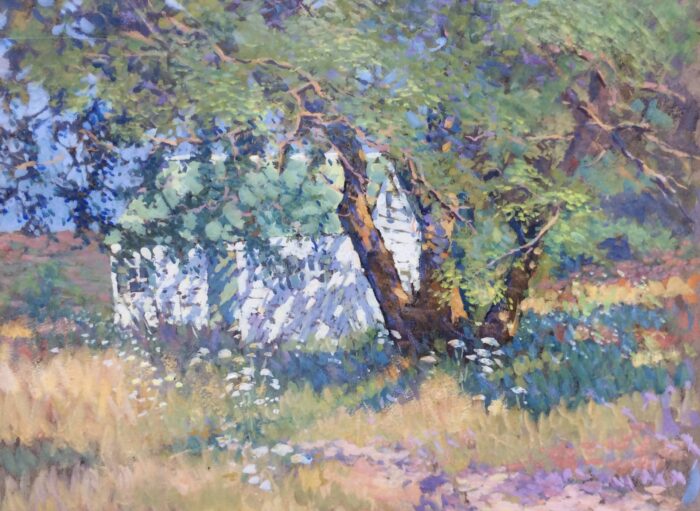 Musgrave, Thomas Franklin