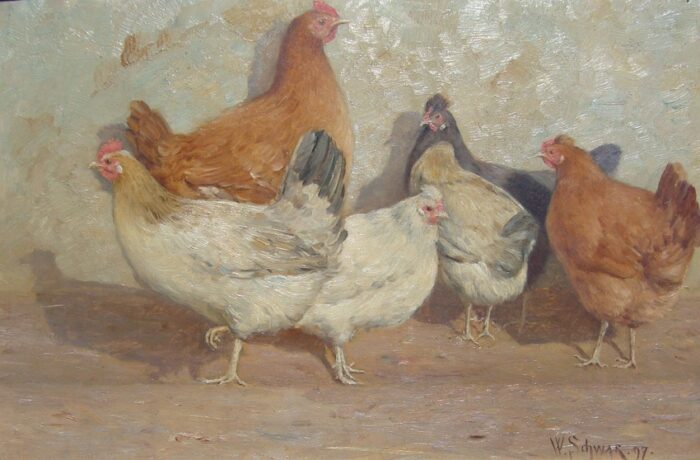 Schwar, Wilhelm