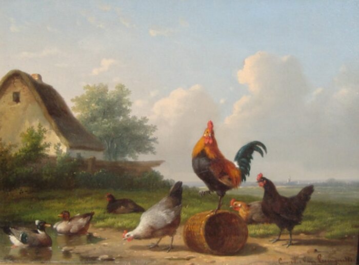 Van Leemputten, Cornelis